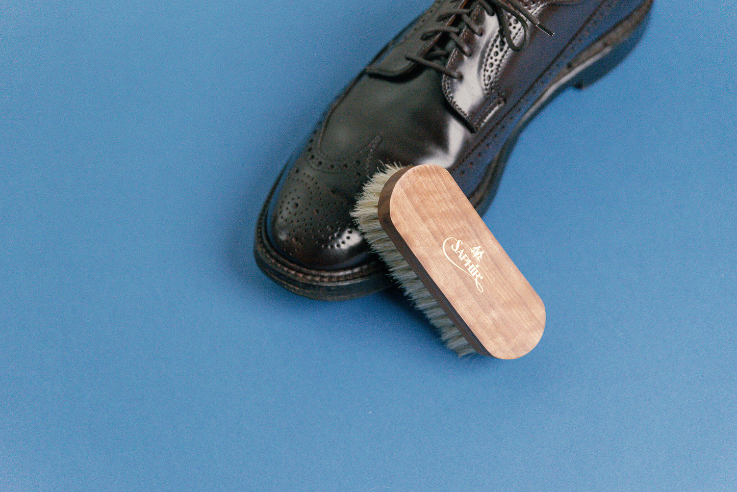 Saphir Medaille d'Or Mini Horse Hair Brush shown with Alden 975 shell cordovan long wing blucher in burgundy #8 shell