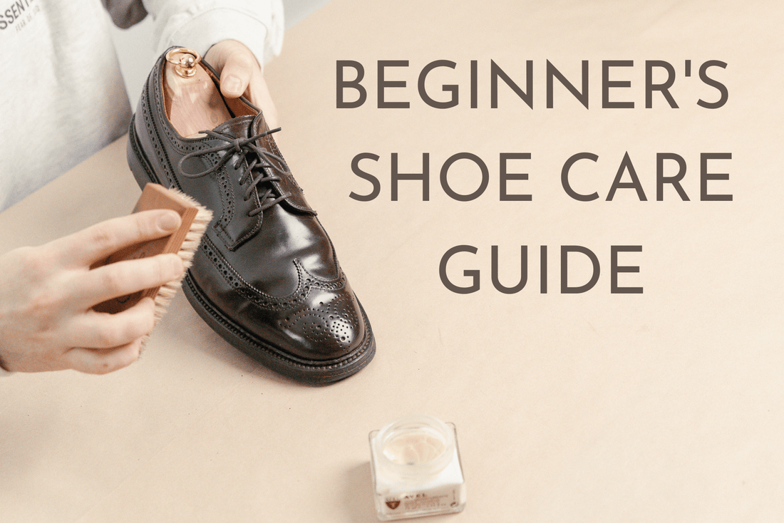 Brillare's Beginner Shoe Care Guide blog post. A pair of Alden 975 shell cordovan longwing bluchers being brushed by a Saphir medaille d'or horse hair brush and a jar of saphir renovateur displayed in a minimalist set up 