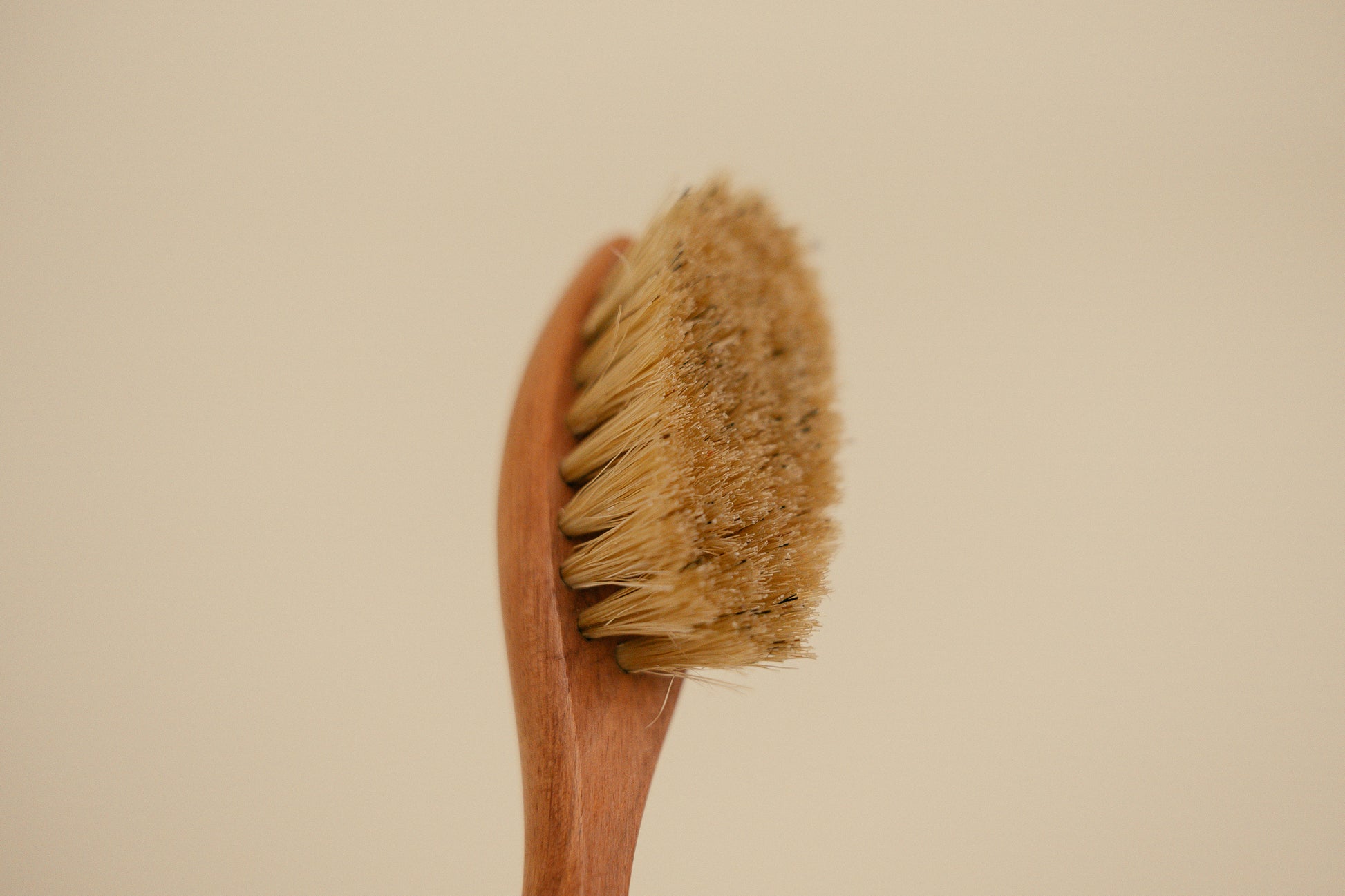 Saphir Medaille d'Or Wood Spatula Horse Hair Shoe Brush - Brillare blond / natural 2
